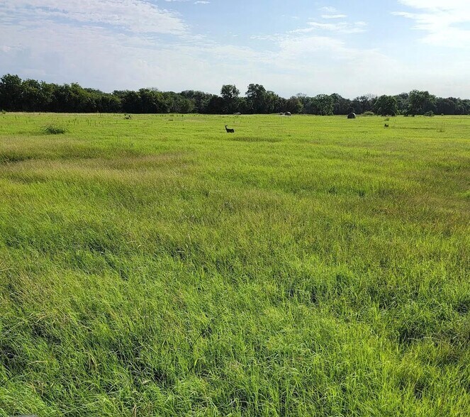 More Photos Of 9931 Harmonson Rd, Northlake Land For Sale