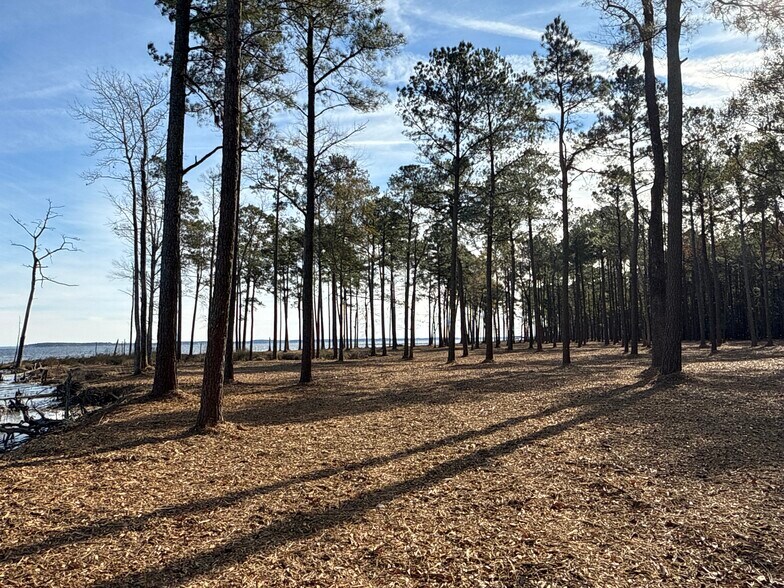 More Photos Of 0 Norfleet Shores Road, Belhaven Land For Sale