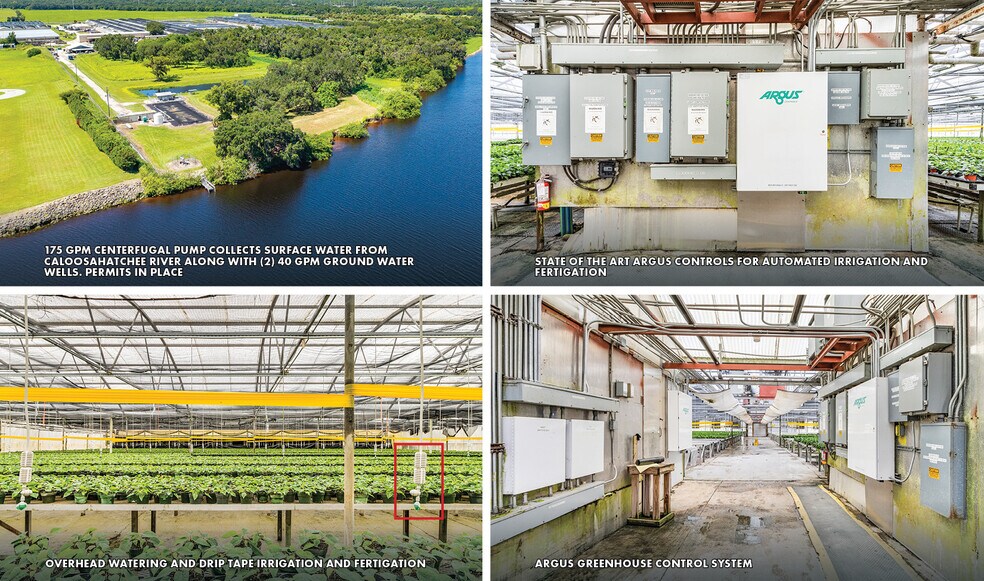 More Photos Of 22341 Palm Beach Blvd, Alva Land For Sale