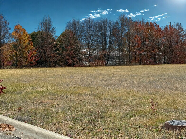 More Photos Of 721 Crimson Ln, Yorkville Land For Sale