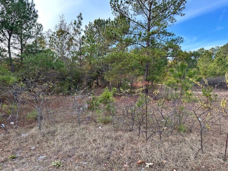 More Photos Of 2706 Emanuel Church Rd, West Columbia Land For Sale