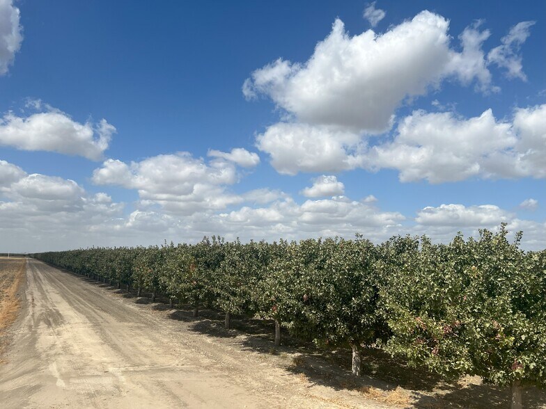 More Photos Of +/-154 Acre Pistachio Orchard - Idaho ave, Hanford Land For Sale