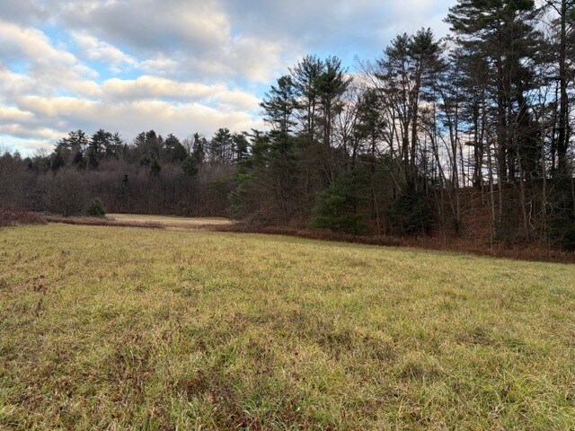 More Photos Of 1045 Covered Bridge Rd, Unadilla Land For Sale