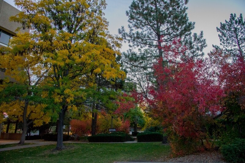 More Photos Of 9745 E Hampden Ave, Denver Office For Lease