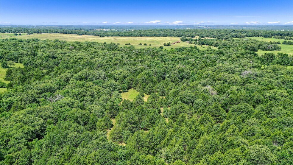 More Photos Of TBD CR 113, Whitesboro Land For Sale