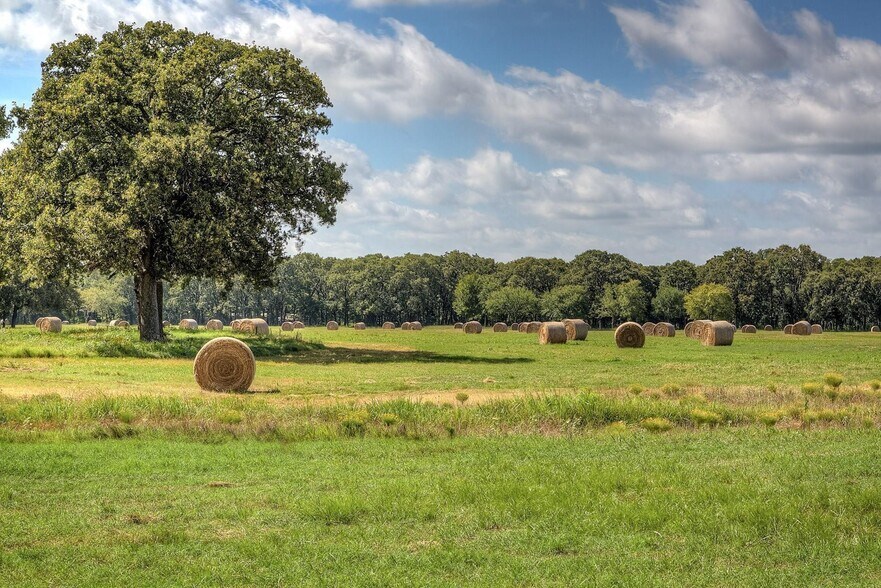 More Photos Of 3812 County Road 120, Wills Point Land For Sale