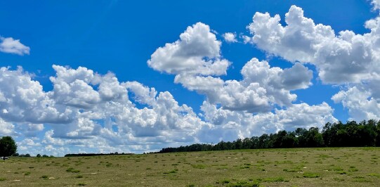 More Photos Of 0 Parrish Grove Rd, Dade City Land For Sale