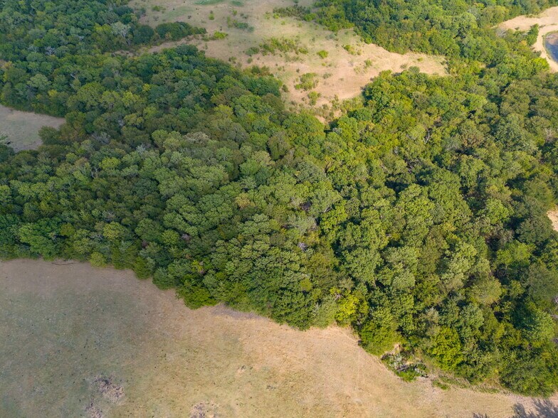 More Photos Of TBD 40 Acres Highway 69 Bells Texas 75414, Bells Land For Sale