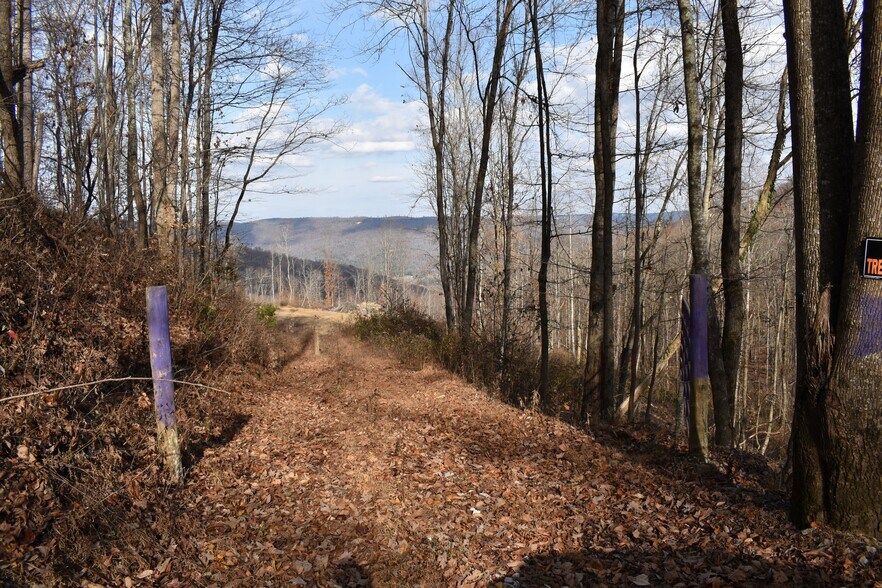 More Photos Of 126 Bolton Point Rd, South Pittsburg Land For Sale