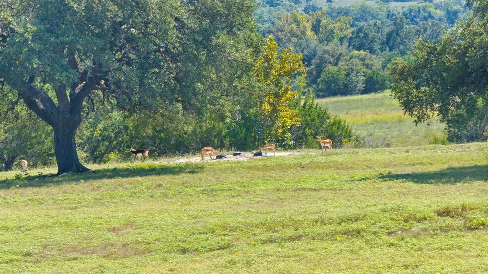 More Photos Of 239 Flickering Sky Circle, Blanco Land For Sale