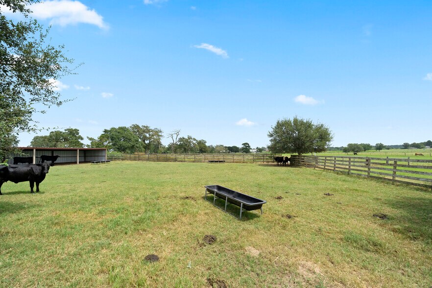 More Photos Of 34483 FM 1488, Hempstead Land For Sale