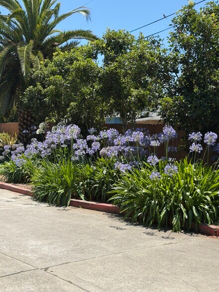More Photos Of 1821 Hill Ave, Hayward Apartments For Sale