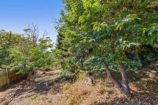 More Photos Of 614 Cragmont Ave, Berkeley Land For Sale