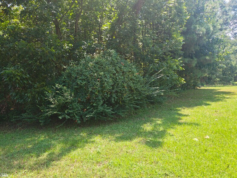 More Photos Of 0 Lot 028 Block DC 425 hwy, Bastrop Land For Sale