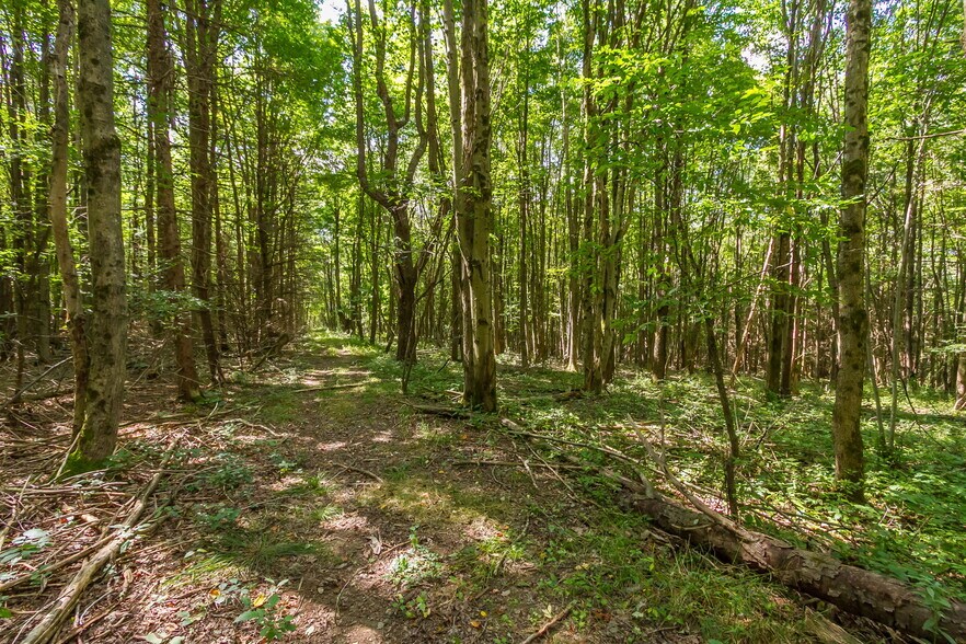 More Photos Of 9545 Redman Rd, Fillmore Land For Sale