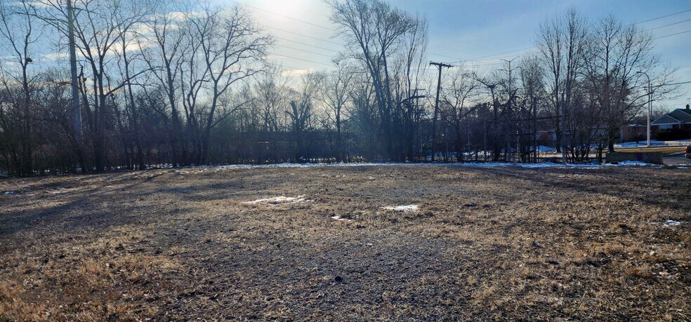 More Photos Of 440 W 87th St, Chicago Land For Sale