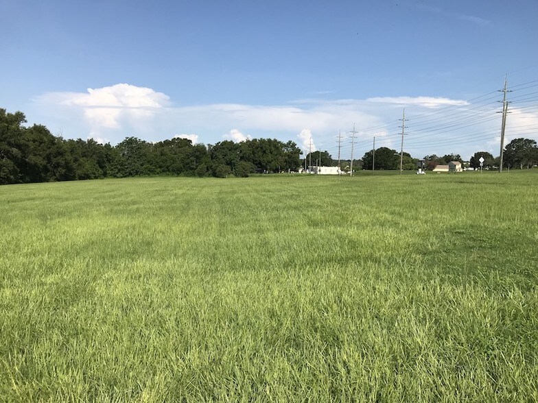 More Photos Of Daughtery Rd, Zephyrhills Land For Sale