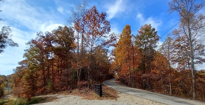 More Photos Of 1737A High Rock Rd, Stanton Land For Sale