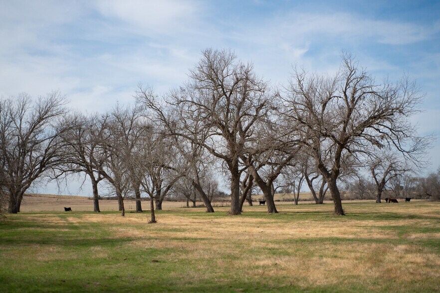 More Photos Of 9424 Hackberry Rd, Holland Land For Sale