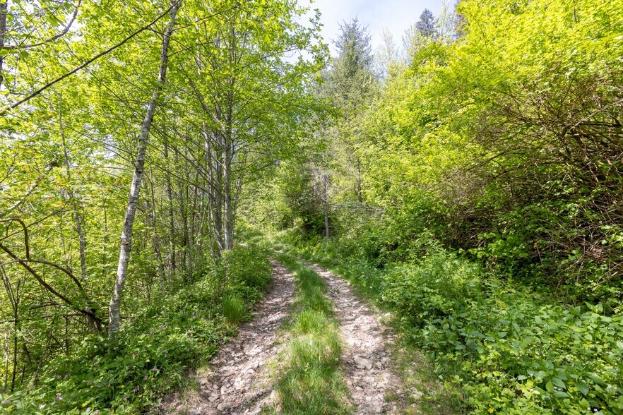 More Photos Of 0 Snag Mountain Road, Washougal Land For Sale