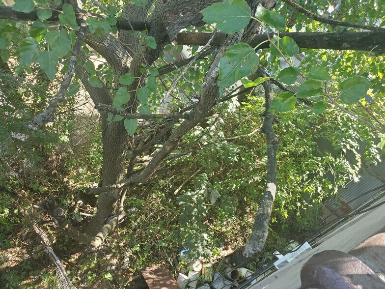 More Photos Of 149 E 96th St, Brooklyn Apartments For Sale