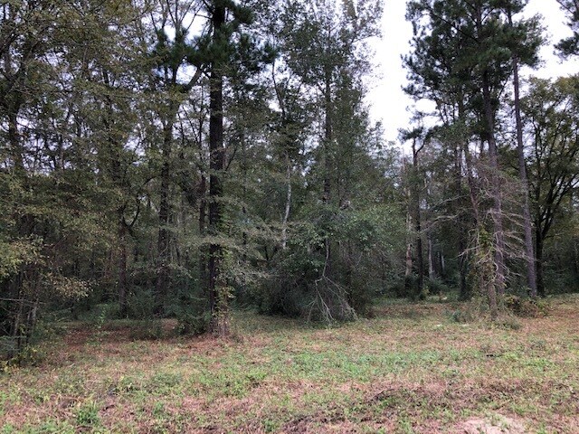 More Photos Of Wood Oak Cir, Cochran Land For Sale