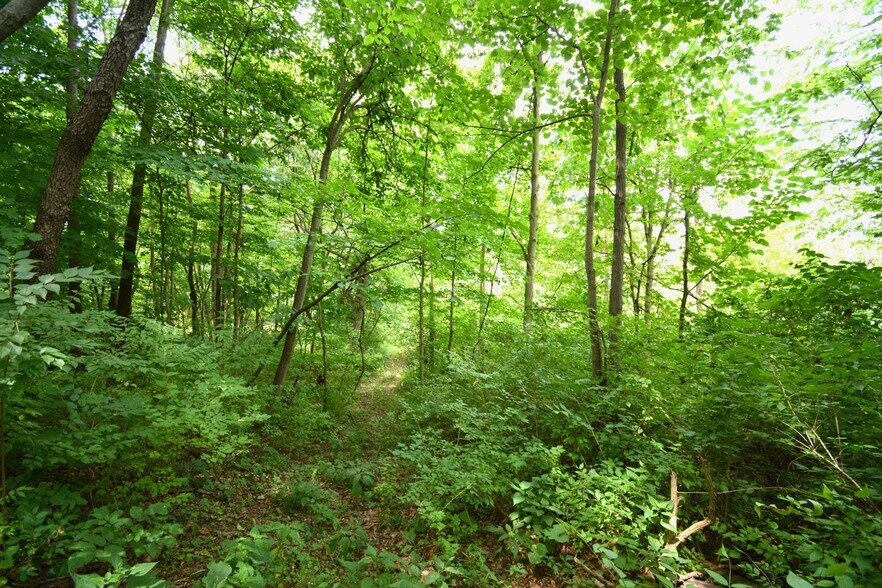 More Photos Of 250 Main st, Mount Gilead Land For Sale