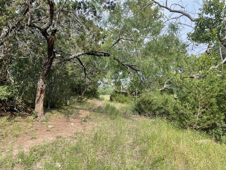 More Photos Of TBD County Road 110 c, Burnet Land For Sale