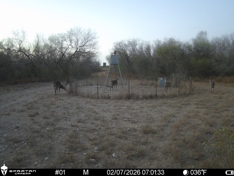 More Photos Of Las Brisas Road, Rio Grande City Land For Sale
