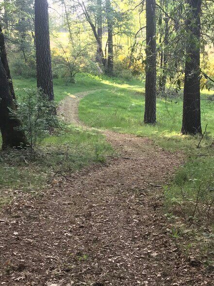 More Photos Of 14762 Wabash Ave, Grass Valley Winery Vineyard For Sale