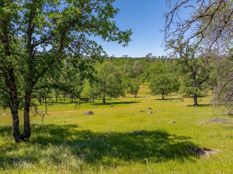More Photos Of 26602 Snider Ranch Road, Oak Run Land For Sale