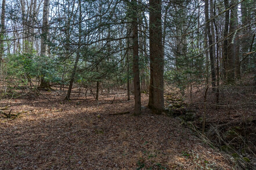 Primary Photo Of Ball Gap rd, Arden Land For Sale
