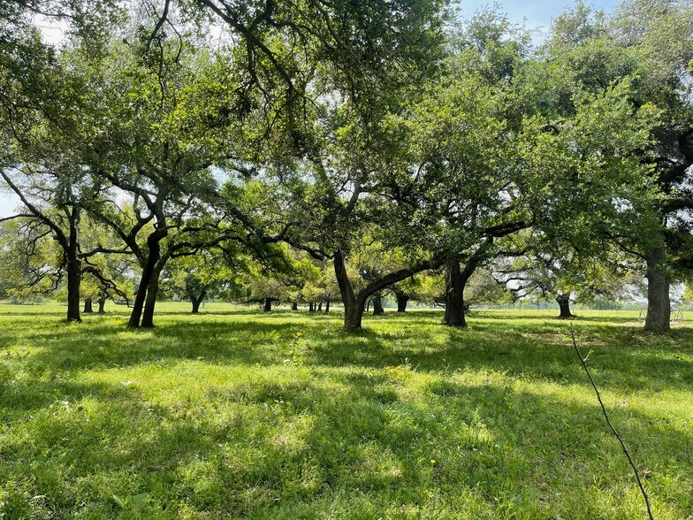 More Photos Of 26039 Magnolia Rd, Hockley Land For Sale