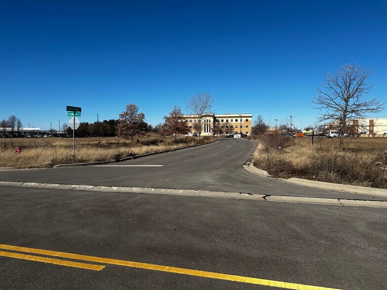 More Photos Of 721 Crimson Ln, Yorkville Land For Sale