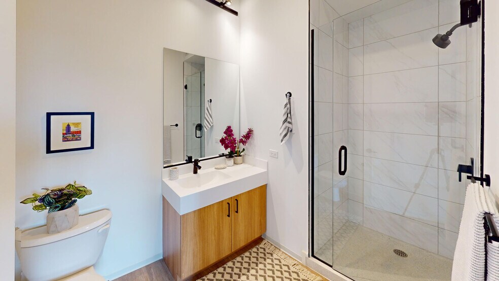 More Photos Of 1717 S Michigan Ave, Chicago Apartments For Lease