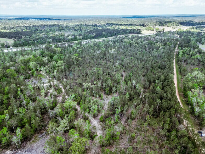 More Photos Of TBD Vick Spring Rd, New Waverly Land For Sale