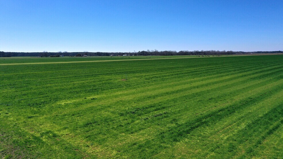 More Photos Of Lot 14 Davis Pond Rd rd, Atmore Land For Sale