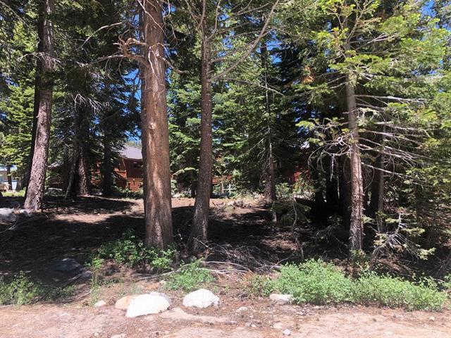 Primary Photo Of 136 Red Fir Rd, Mammoth Lakes Land For Sale