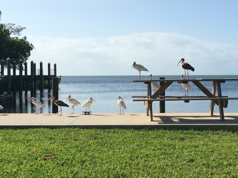 More Photos Of 21544 Overseas Hwy, Cudjoe Key Hotel For Sale