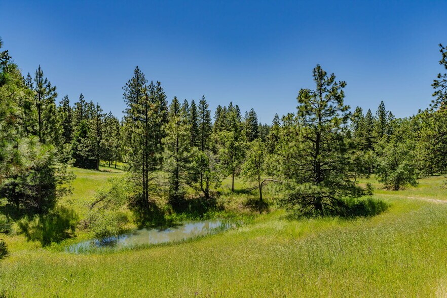 More Photos Of 25755 State Highway 88, Pioneer Land For Sale