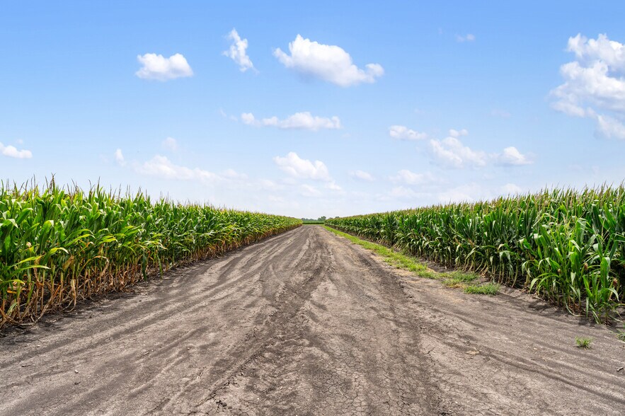 More Photos Of 13416 FM 361 Rd, Needville Land For Sale