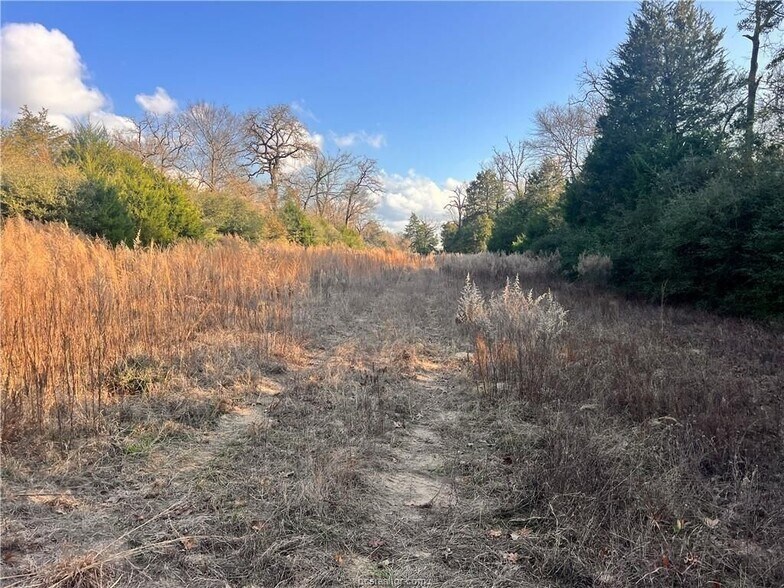 More Photos Of Fm-1469, Marquez Land For Sale