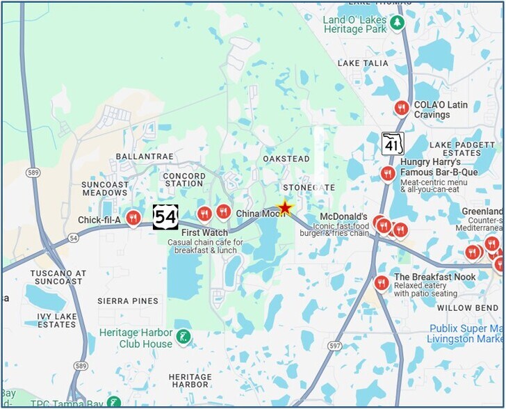 More Photos Of State Road 54, Land O' Lakes Land For Sale
