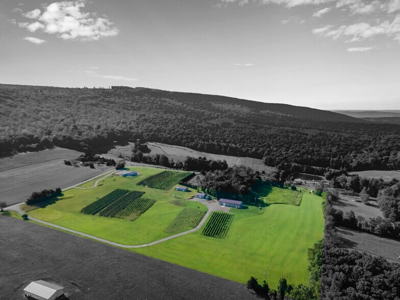 More Photos Of 596 Harman Rd, Halifax Winery Vineyard For Sale