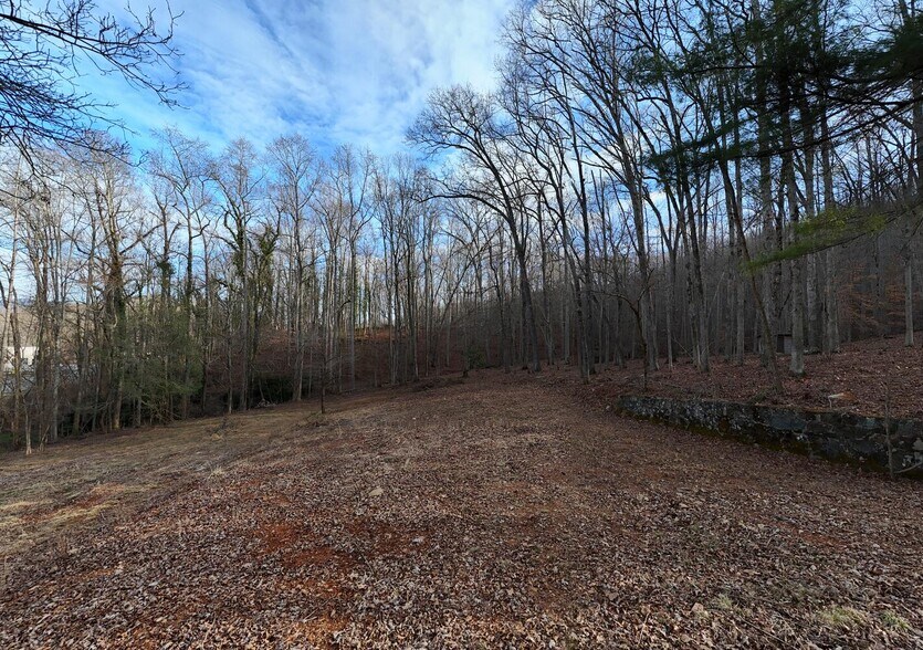 More Photos Of 2342 US-76, Hiawassee Land For Sale
