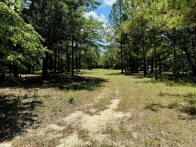 More Photos Of 241 Foskey Cemetery Rd, Adrian Land For Sale