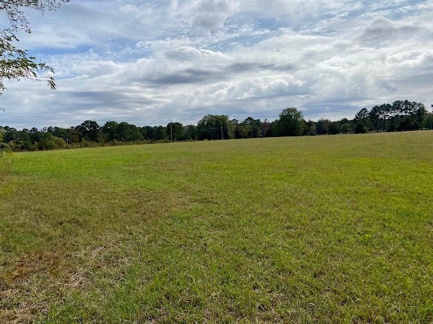 More Photos Of 0 Hwy 41S, Foreman Land For Sale