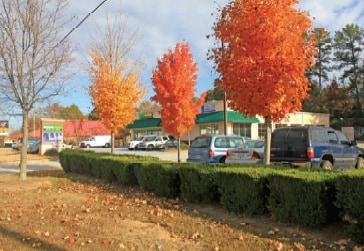 More Photos Of 4894 Jonesboro Rd, Forest Park Freestanding For Sale