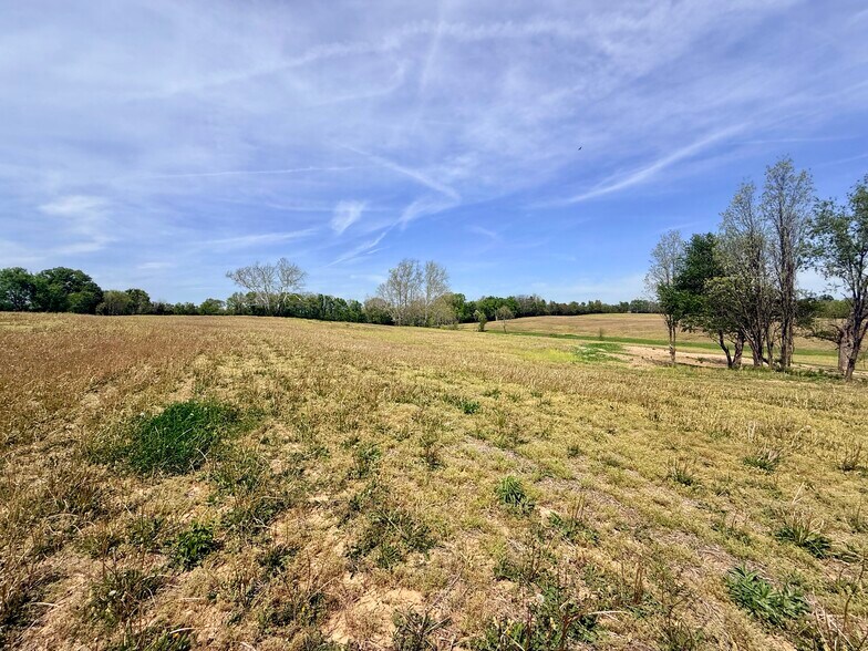 More Photos Of 4132 KY Highway 36 W, Cynthiana Land For Sale