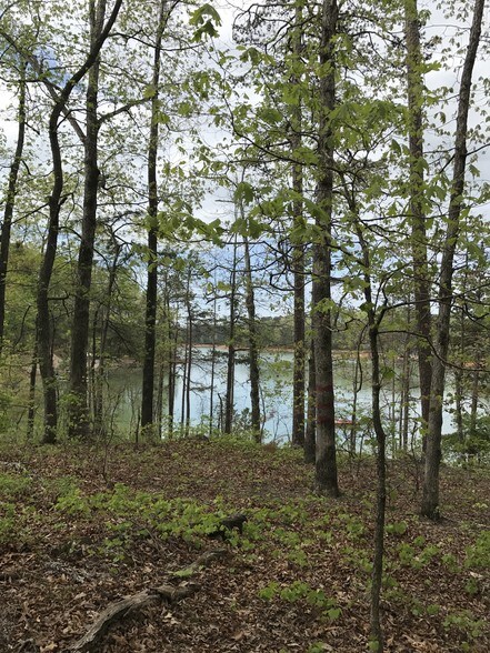 More Photos Of 3350 Duckett Mill Rd, Gainesville Land For Sale